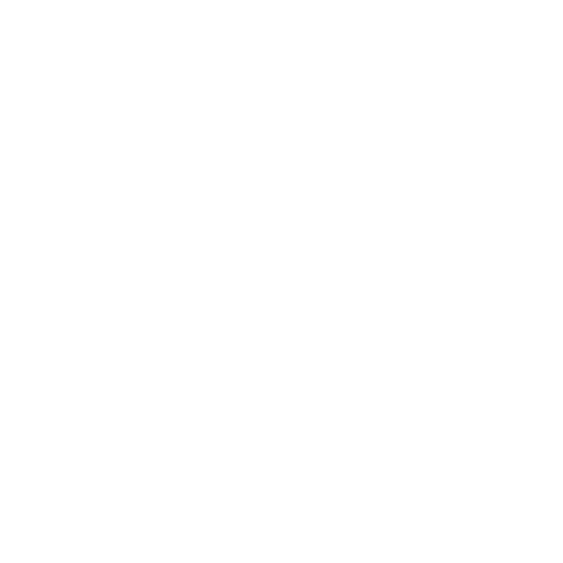 Mountain View White Logo.png